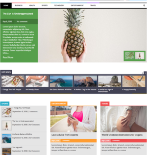 Laveo – Responsive Blog, News WordPress Theme