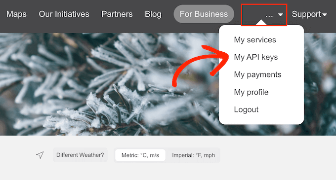 Location Weather API Keys