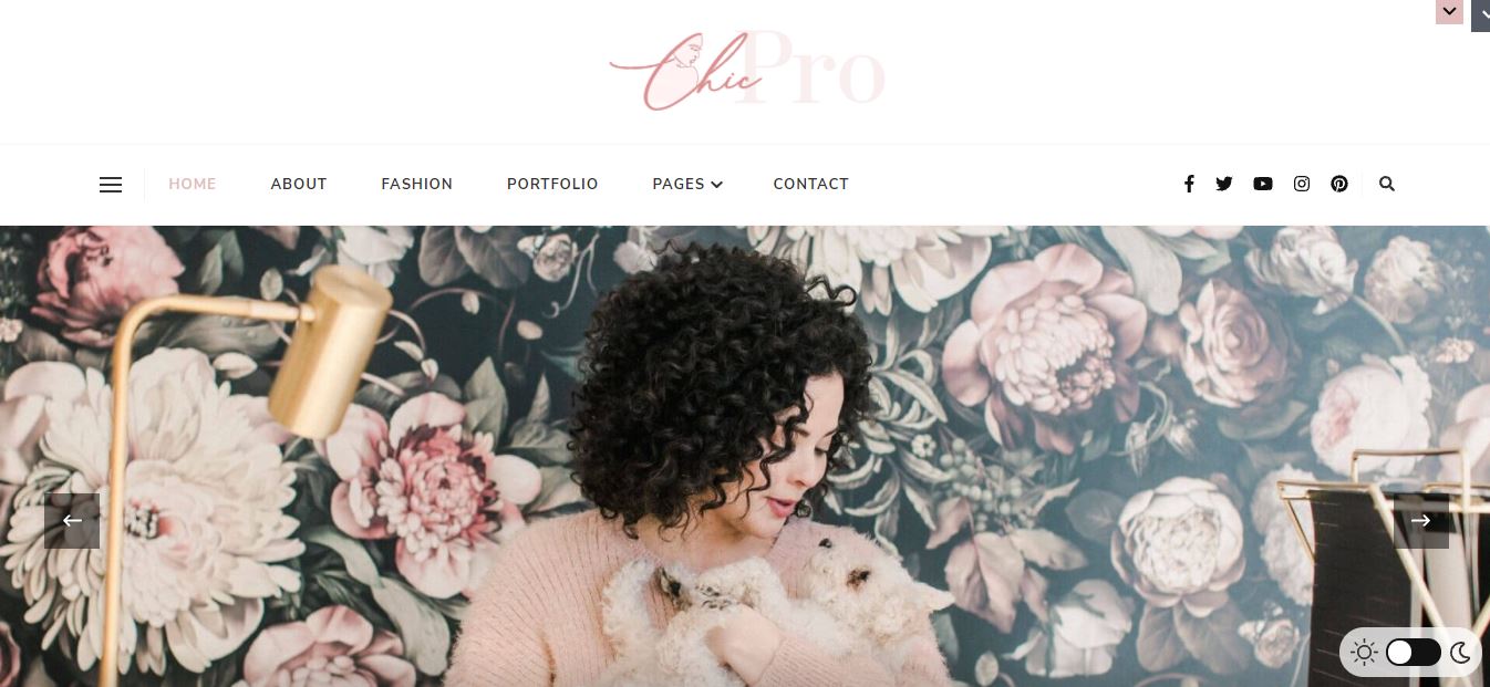 chic pro travel wordpress theme