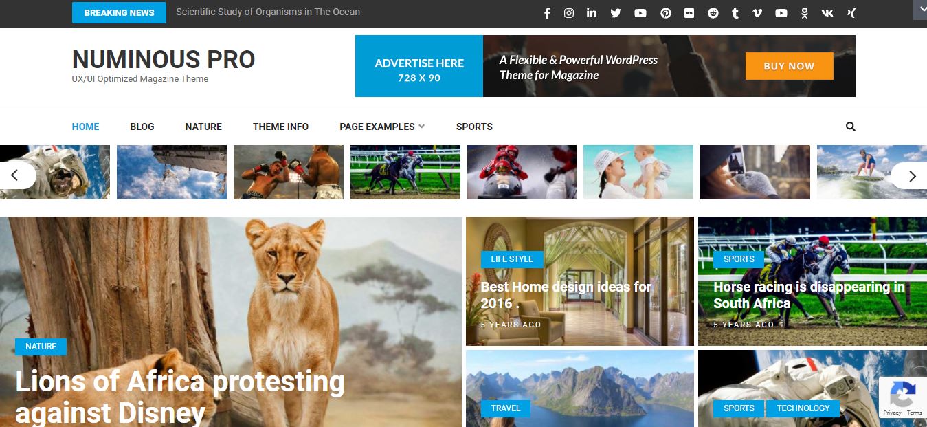 numinous pro travel wordpress theme