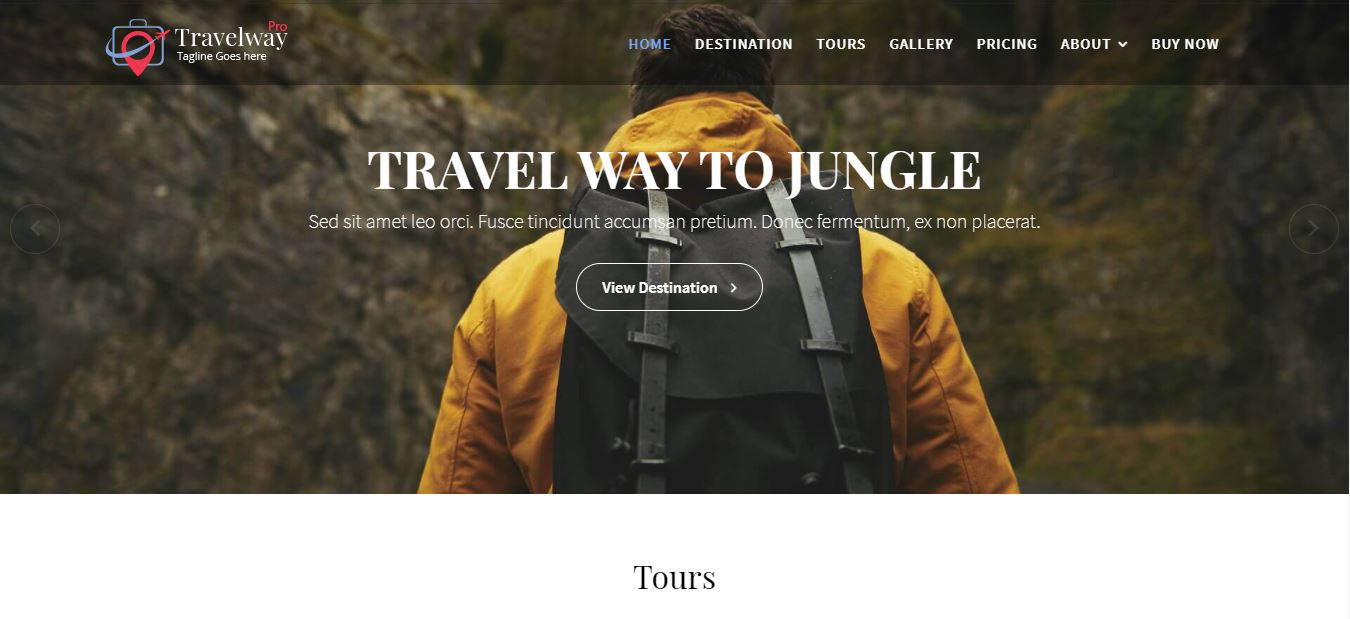 travelway pro travel wordpress theme