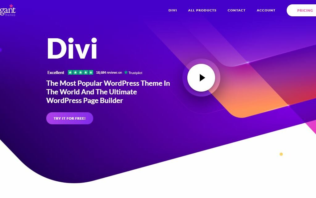 divi enormous demo package for your website