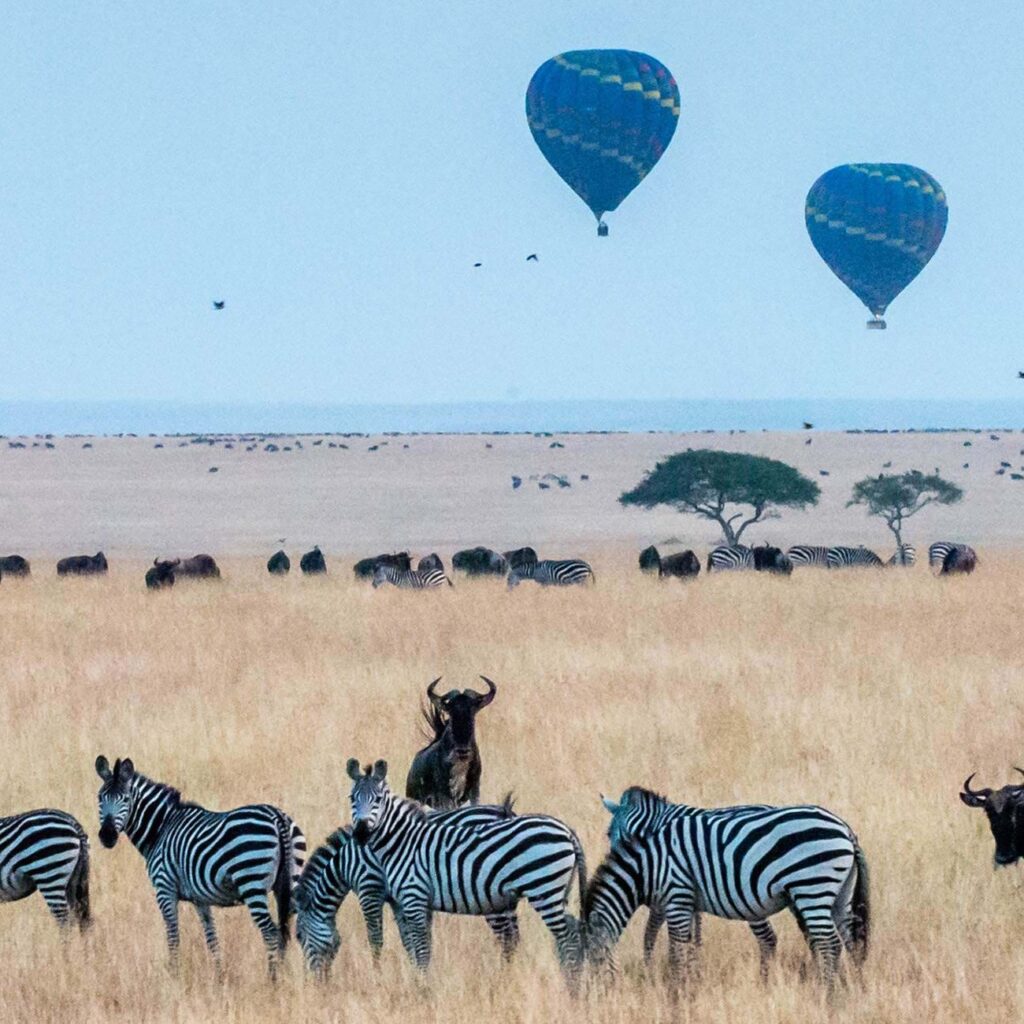 tanzania