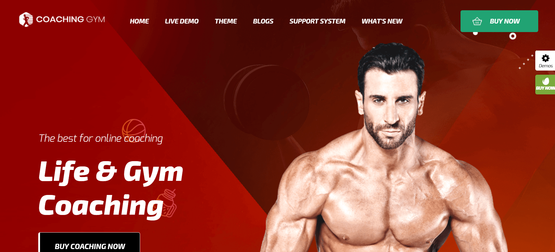 coaching beautiful life and fitness coaching wordpress theme