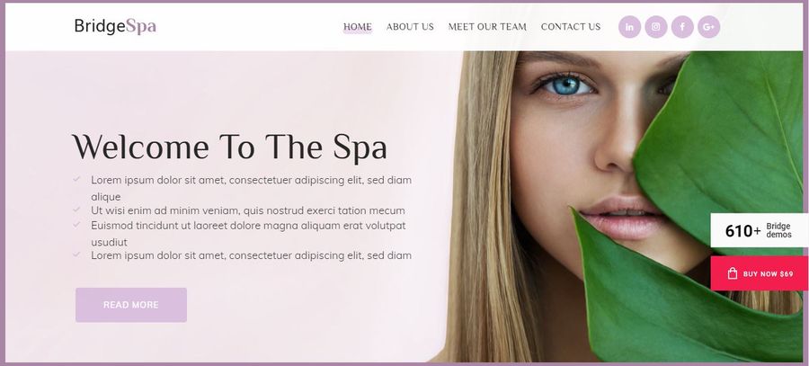 BridgeSpa Spa WordPress Theme