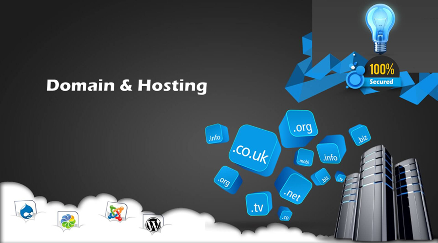 Select Domain Name and Web Hosting Provider